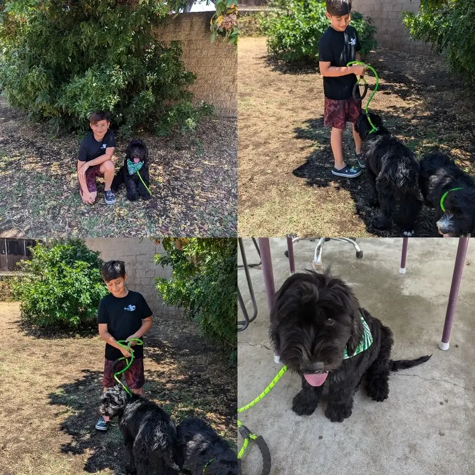 Fundraising Grant Writer Volunteer (Virtual)