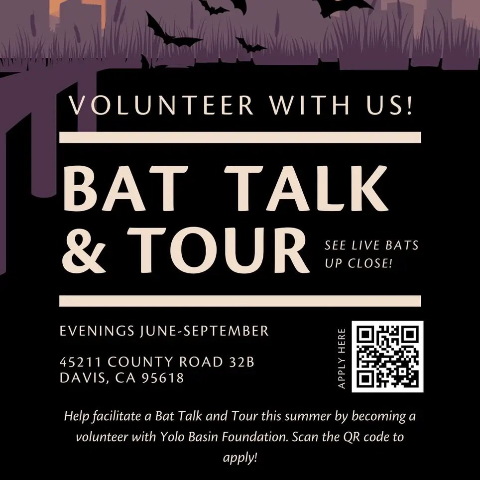 Bat Talk and Tour Volunteer