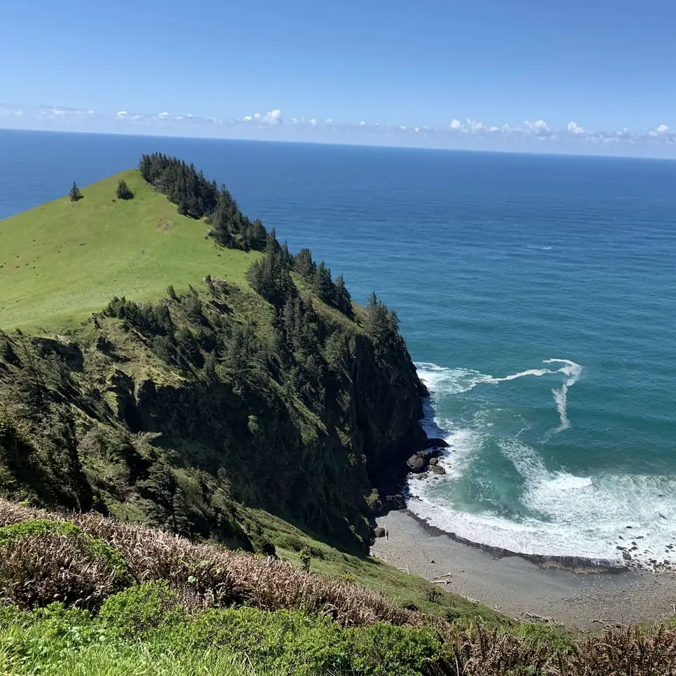 Join The Nature Conservancy's naturalist team at Cascade Head!