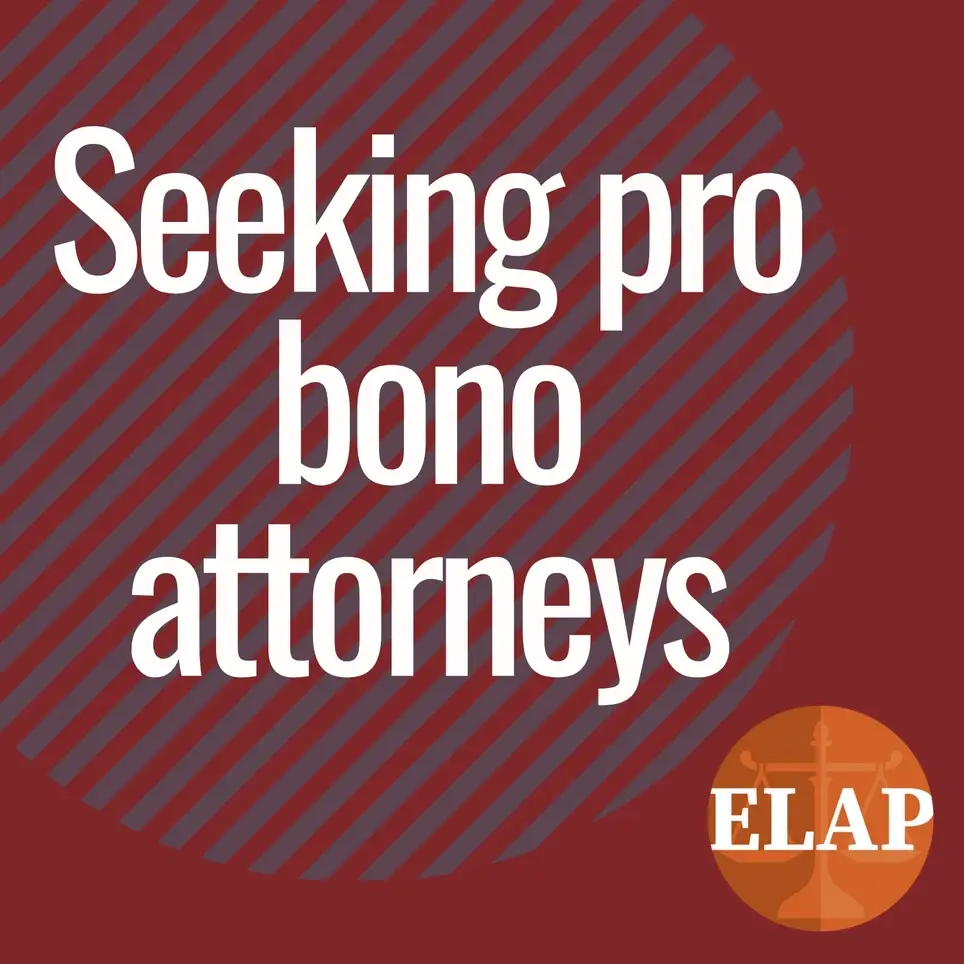 Pro Bono Attorneys