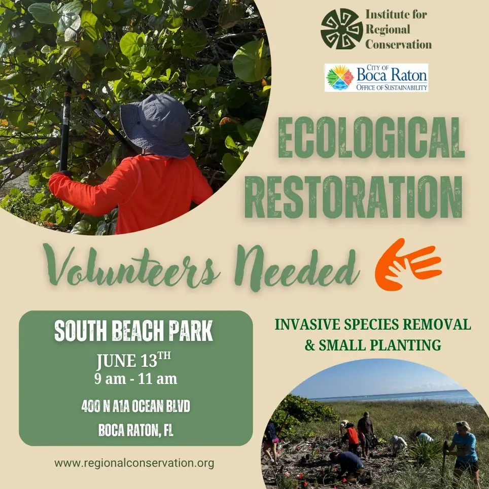 6/13 Ecological Restoration Volunteer Day at South Beach Park
