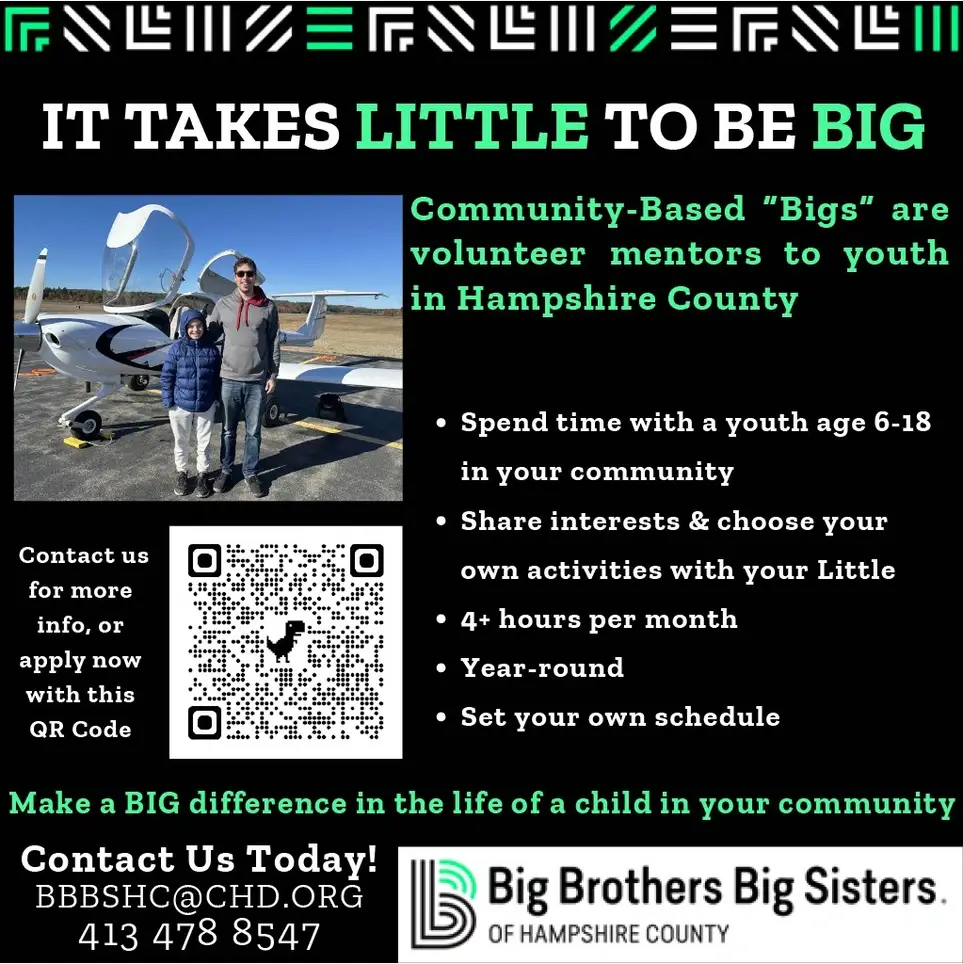 Big Brothers Big Sisters Community Mentor