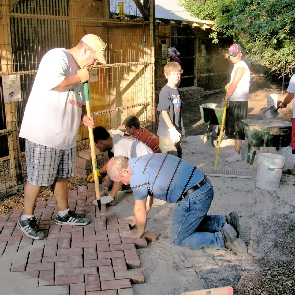 Corporate Volunteering - Company Service Projects