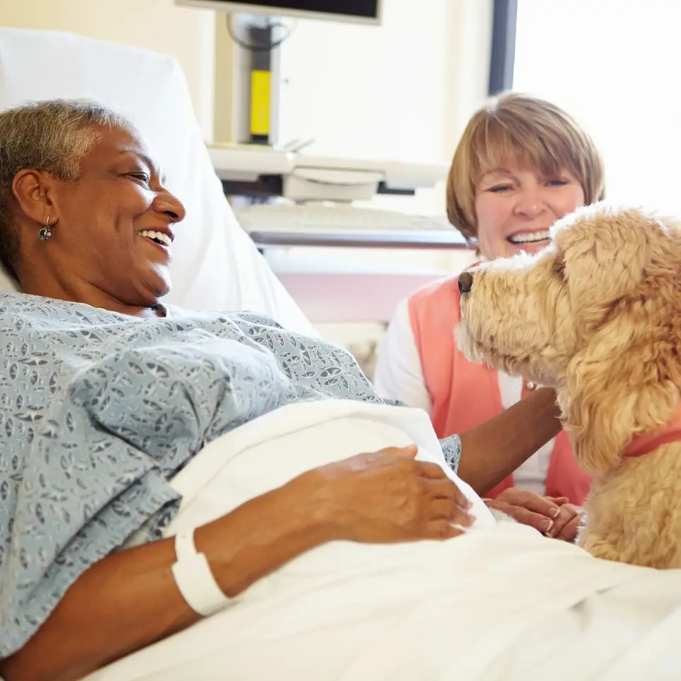 Hospice Companion Cache County