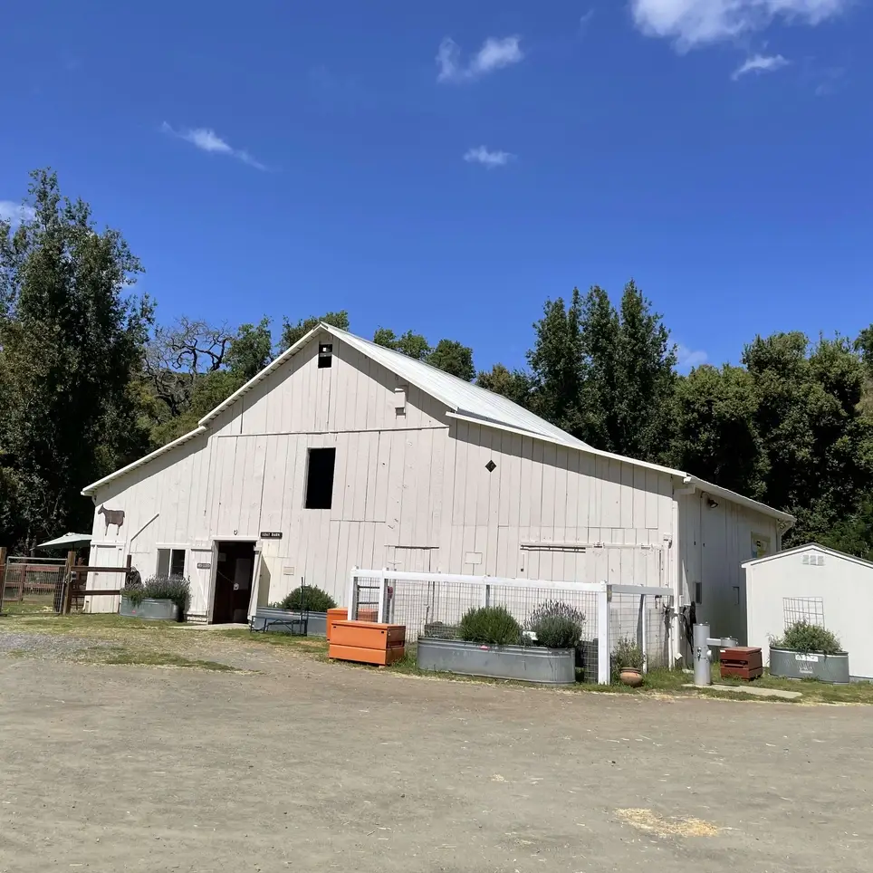 Member of the Board of Directors