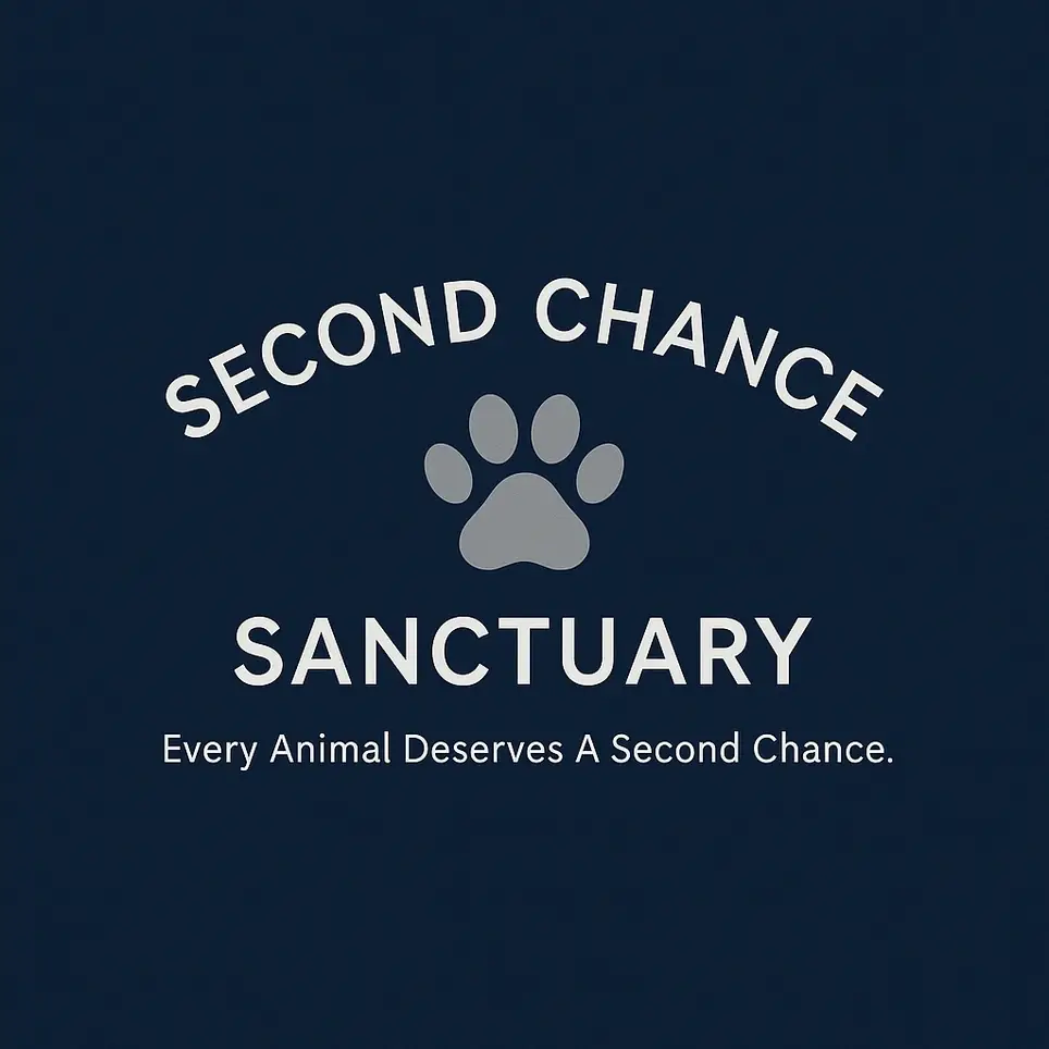 Volunteer – Stars for Second Chances Event Crew (May 2026, Milton ON)