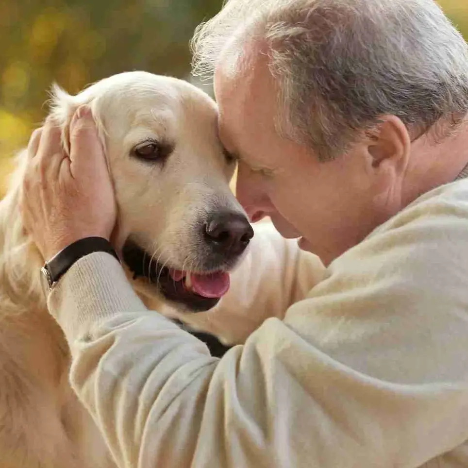 Dog Therapy Needed in Hospice -North Denver