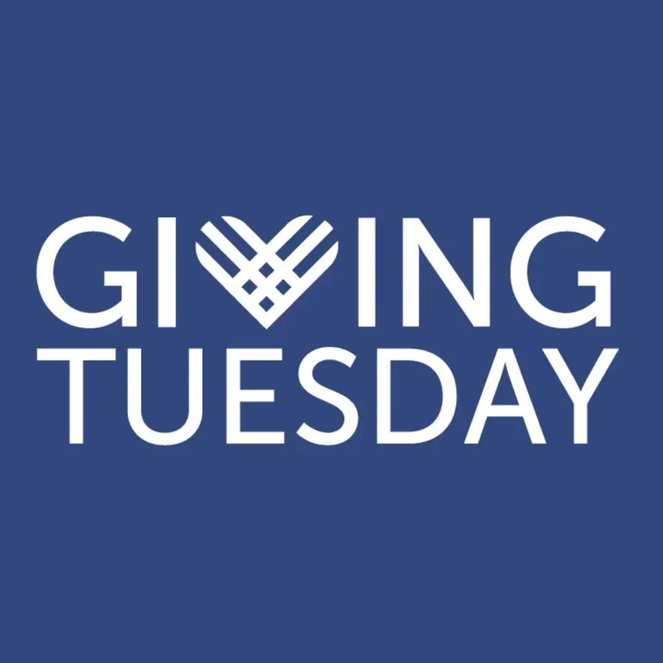 GivingTuesday Digital Campaign Volunteer (Virtual)