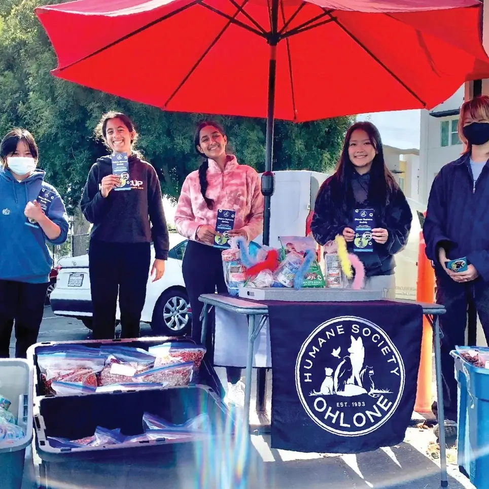 Be Part of the Solution! Join Our Pet Meals-on-Wheels Team