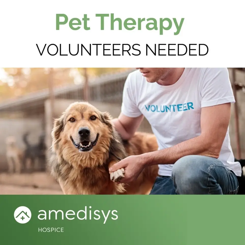Pet Therapy for Hospice Patients