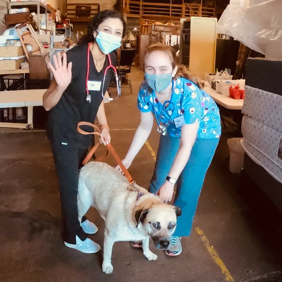 Pro-Bone-O Veterinary Clinic Volunteers