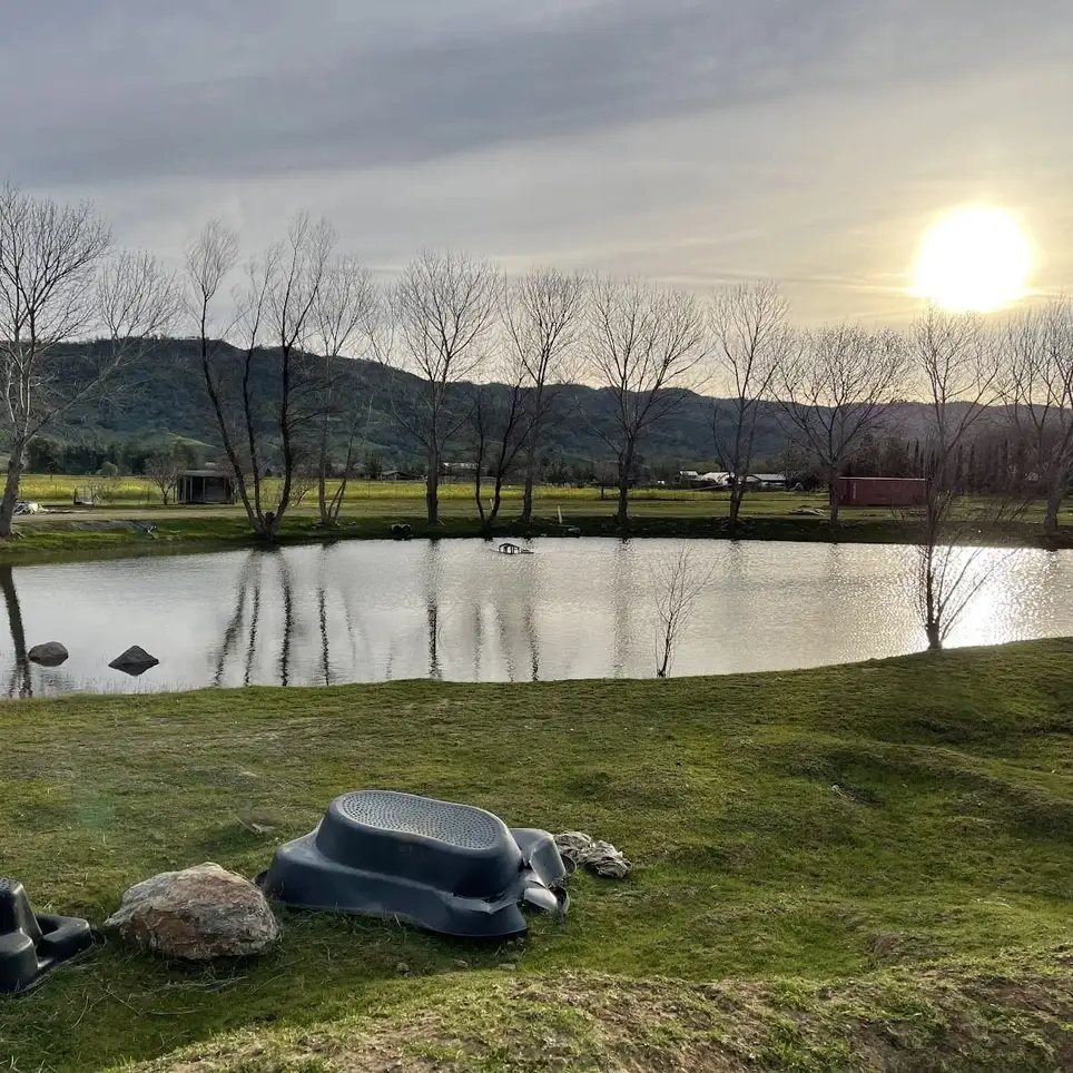 Volunteer Opportunity - Public Relations (USA ONLY)