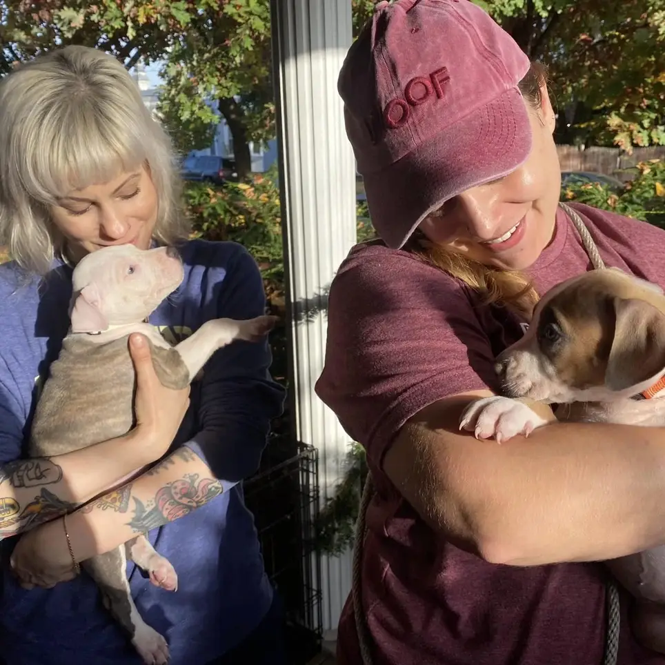 Graphic design help needed for Baltimore's homeless animals!