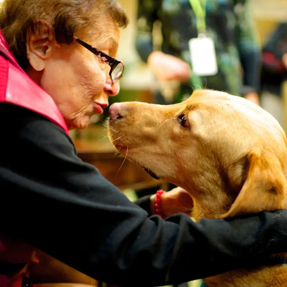 Dog Therapy with The Good Dog Foundation