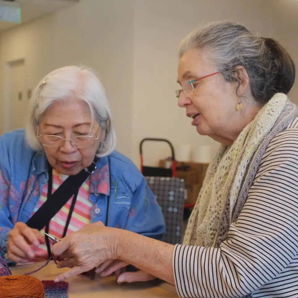 Daily Activity Program Needs Volunteers!!