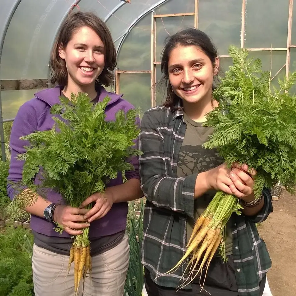 Small, Diverse Organic Farm Worker/Hand