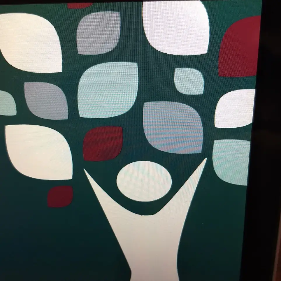 Make a difference by volunteering with Seniors or in our office!