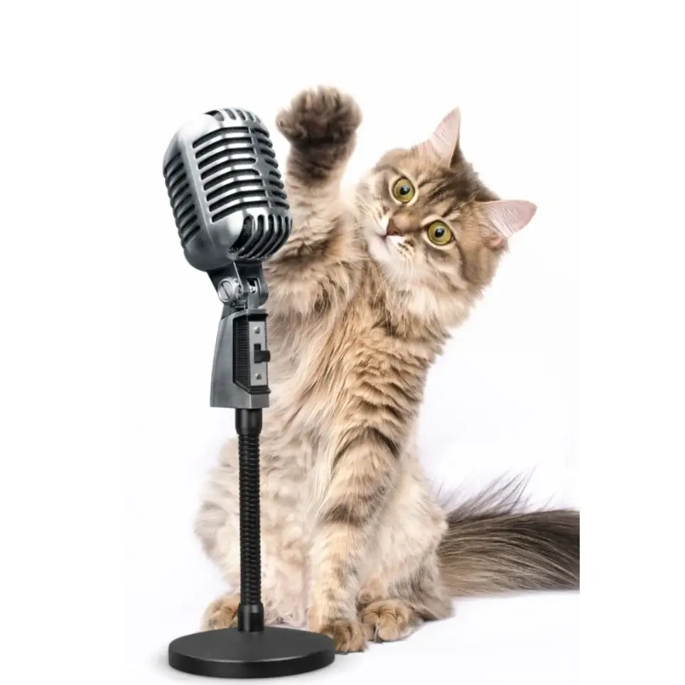 Outreach and Education