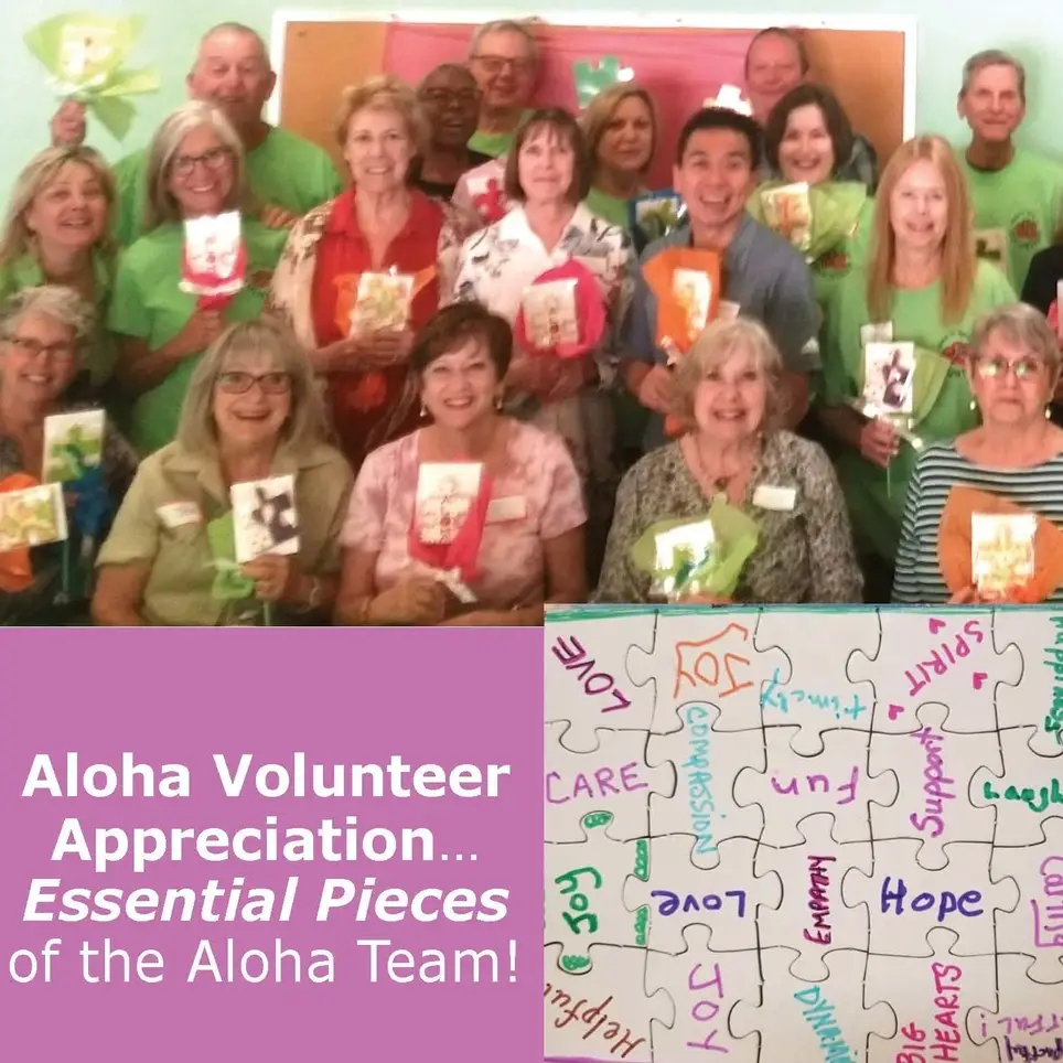 Special Event Volunteer