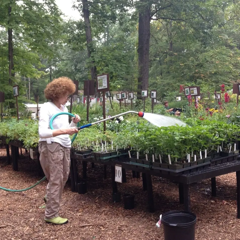 Nursery Cashier Volunteer at Bowman's Hill Wildflower Preserve