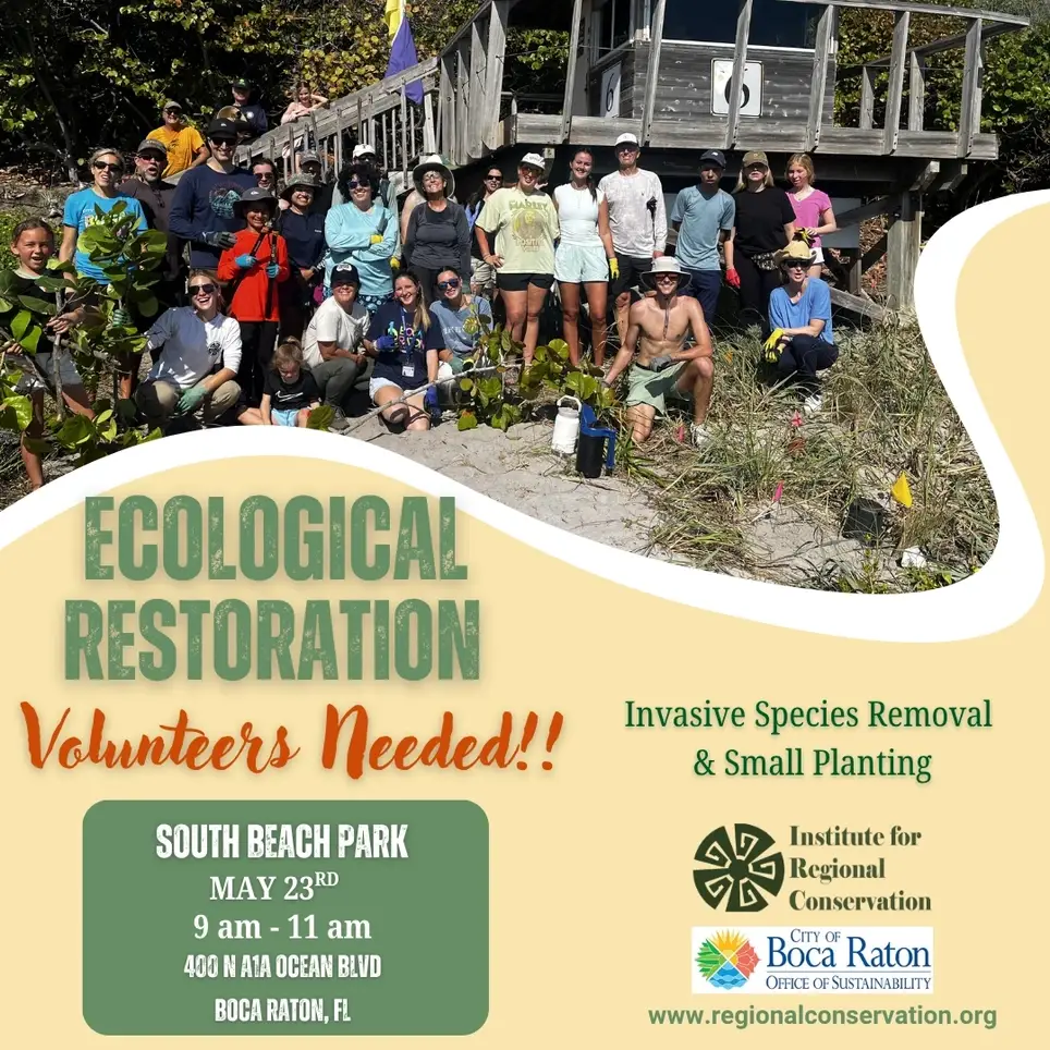5/23 Ecological Restoration Volunteer Day at South Beach Park