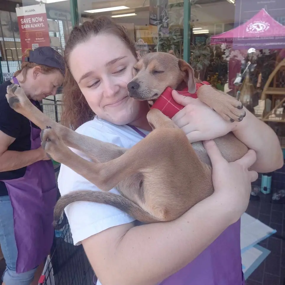 Oceanside Adoption event for Mexican Dogs