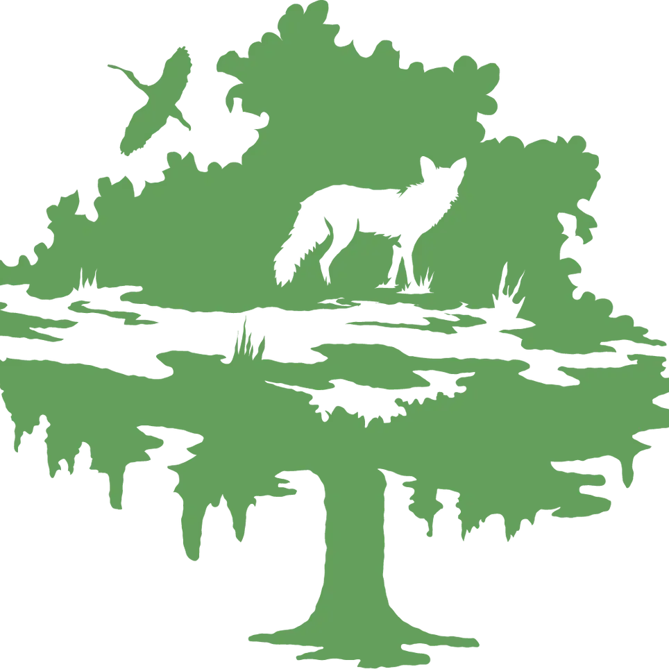 Become a Natural Areas Site Steward