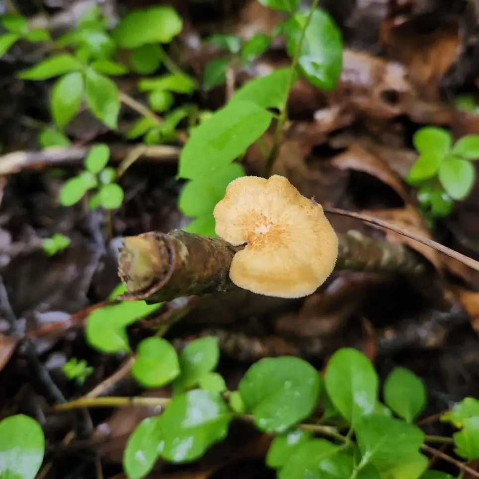 Nature Center Engagement Specialist