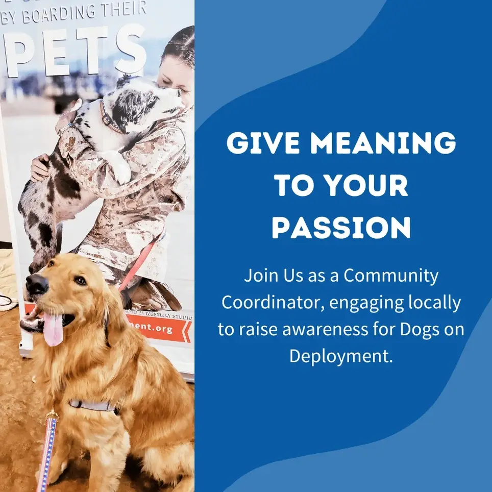 San Diego Community Coordinator for Dogs on Deployment