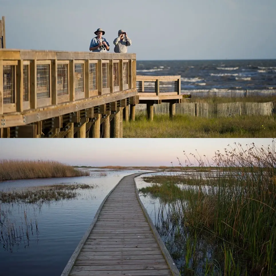 Easy Oceanside Beach Cleanup near Sabine Pass Texas , Gulf Coast, TX