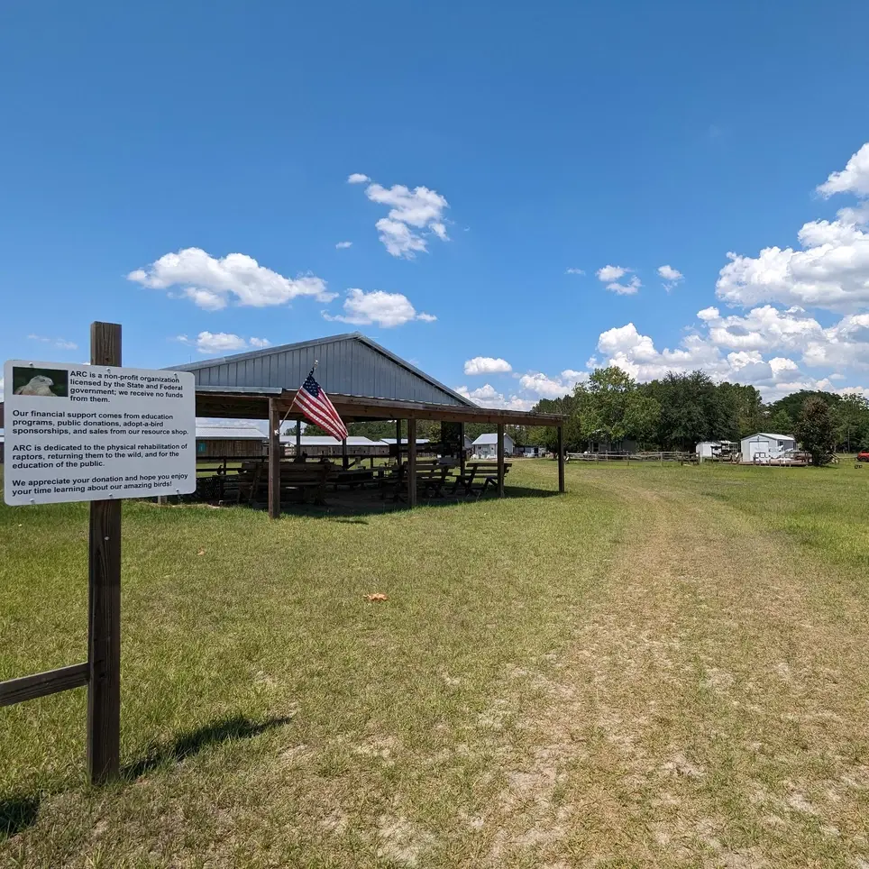 Avian Reconditioning Center Volunteer