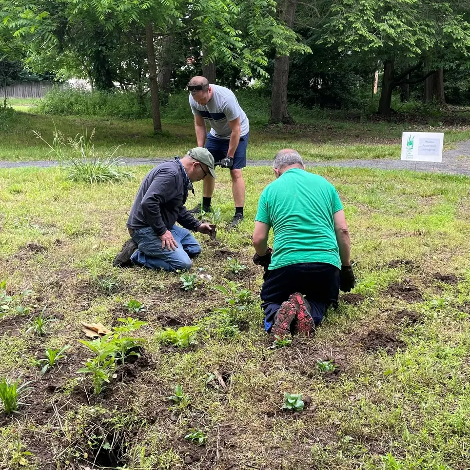 Invasive Plant Removal Team at Silver Lake Nature Center