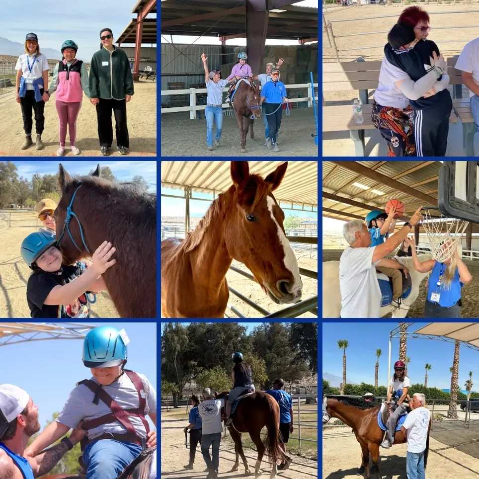 Become a Side-walker Volunteer with Pegasus