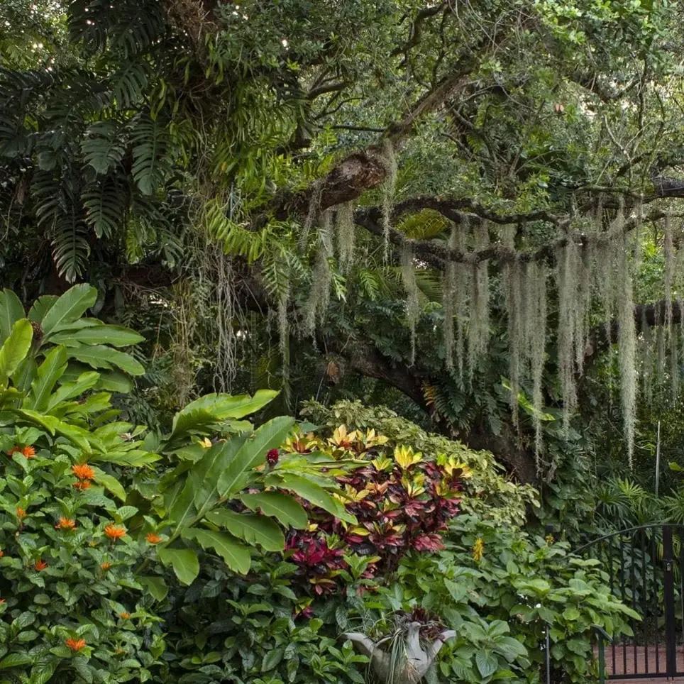 Volunteers Needed at Pinecrest Gardens