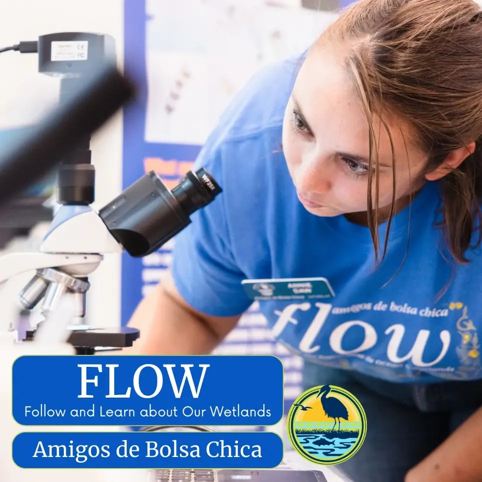 FLOW Program