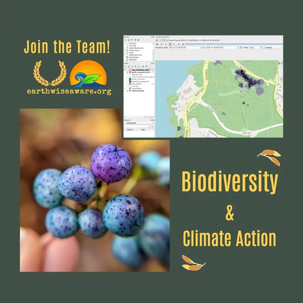 EwA Invasive Species GIS Volunteer