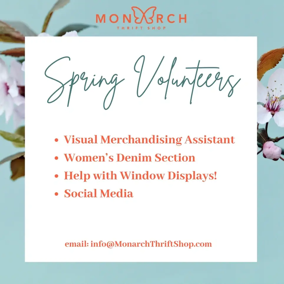 Visual Merchandising Assistant