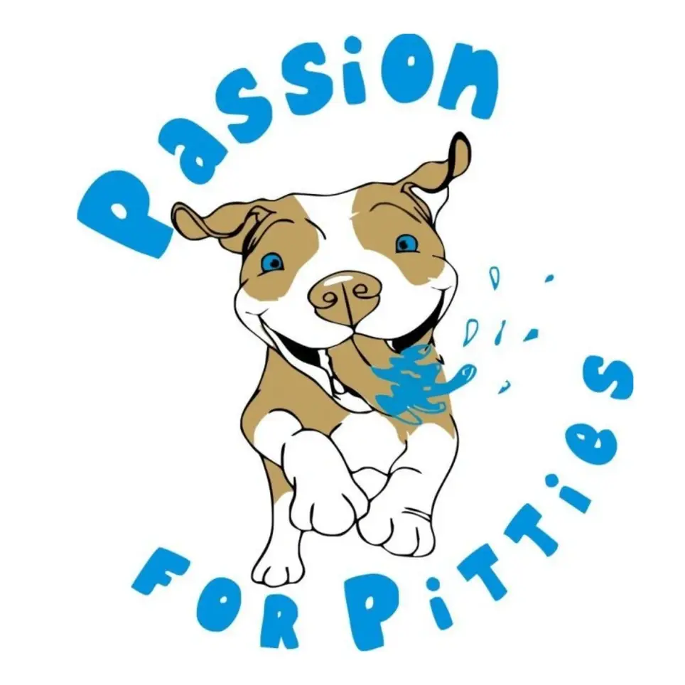 Open Your Home, Save a Life: Dog Fosters Needed (San Diego, CA)