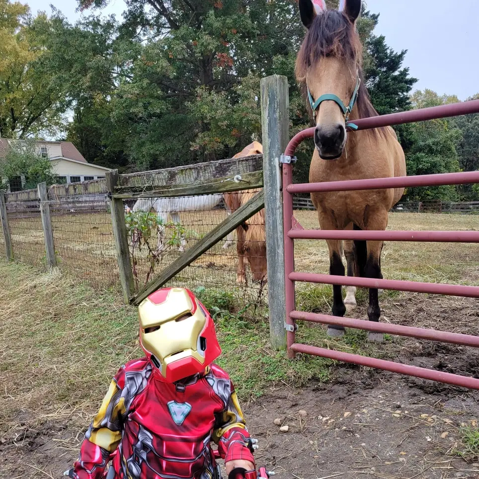 Farm and Equine assisted therapy programs for children.