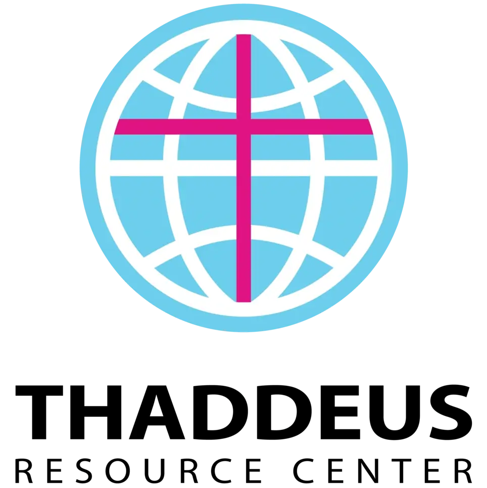 Program Development Professional Mentor