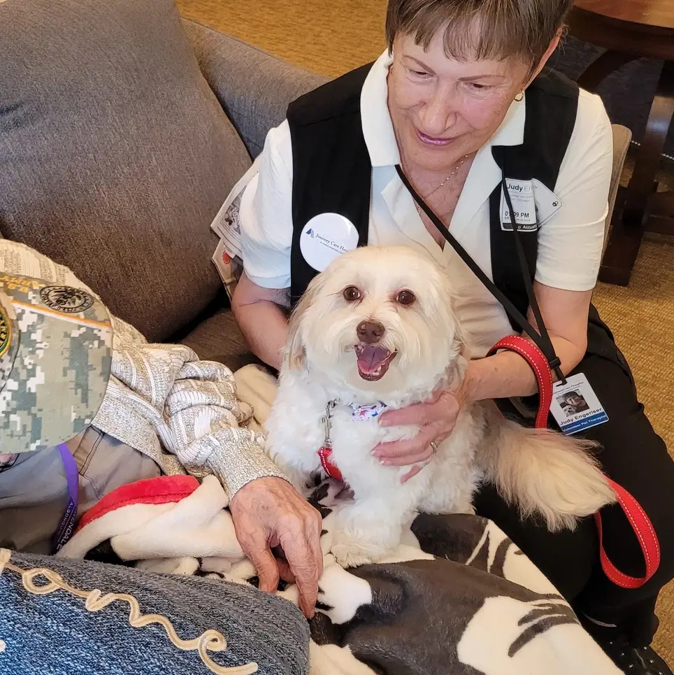Pet Therapy Volunteer in Highland Park IL - Must have Certified Dog, Cat, Mini Horse or Other