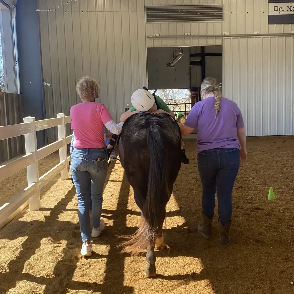 Hippotherapy Sidewalkers