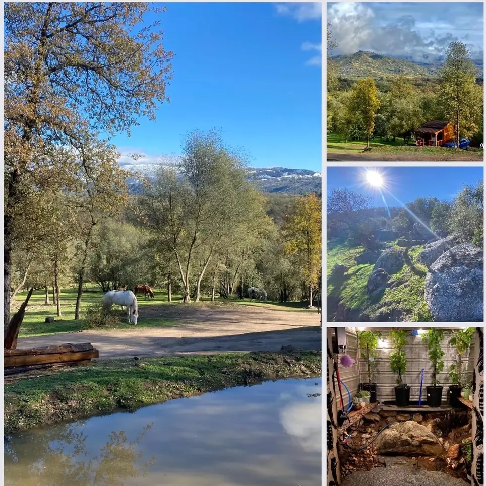 Google Ad Grant Team