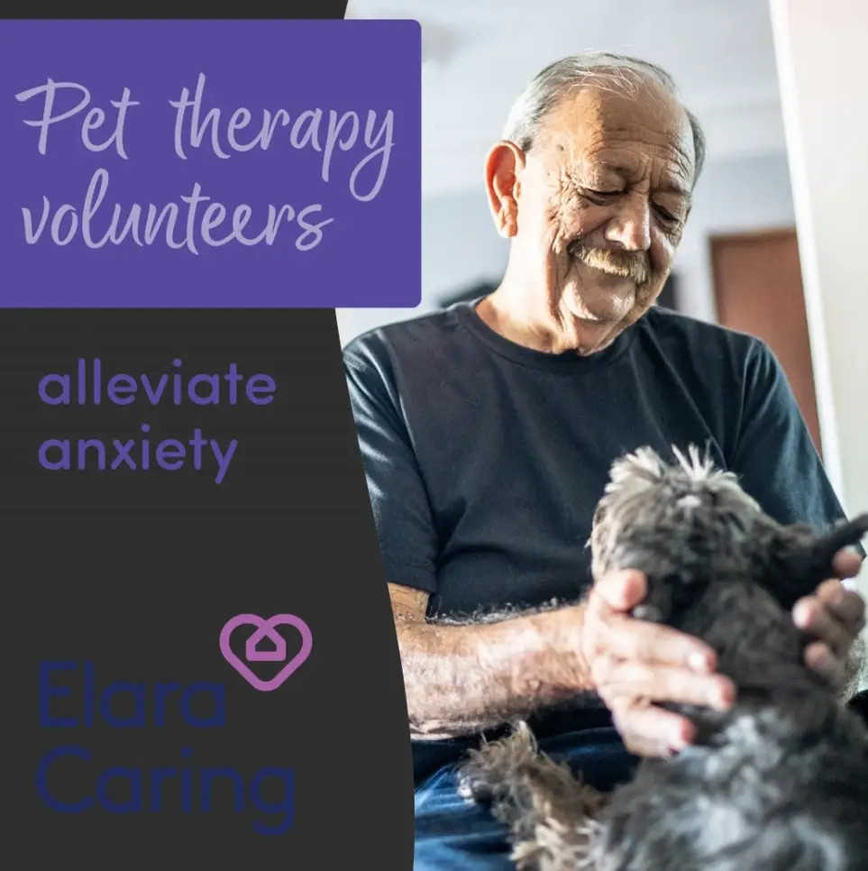Make Someone's Day Brighter! Seeking Pet Companion Volunteers!