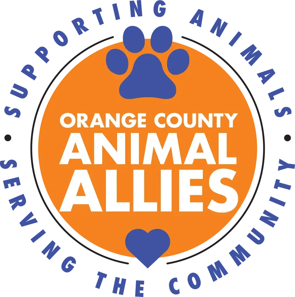 Nonprofit Animal Welfare Organization - Create Our Introductory Video!
