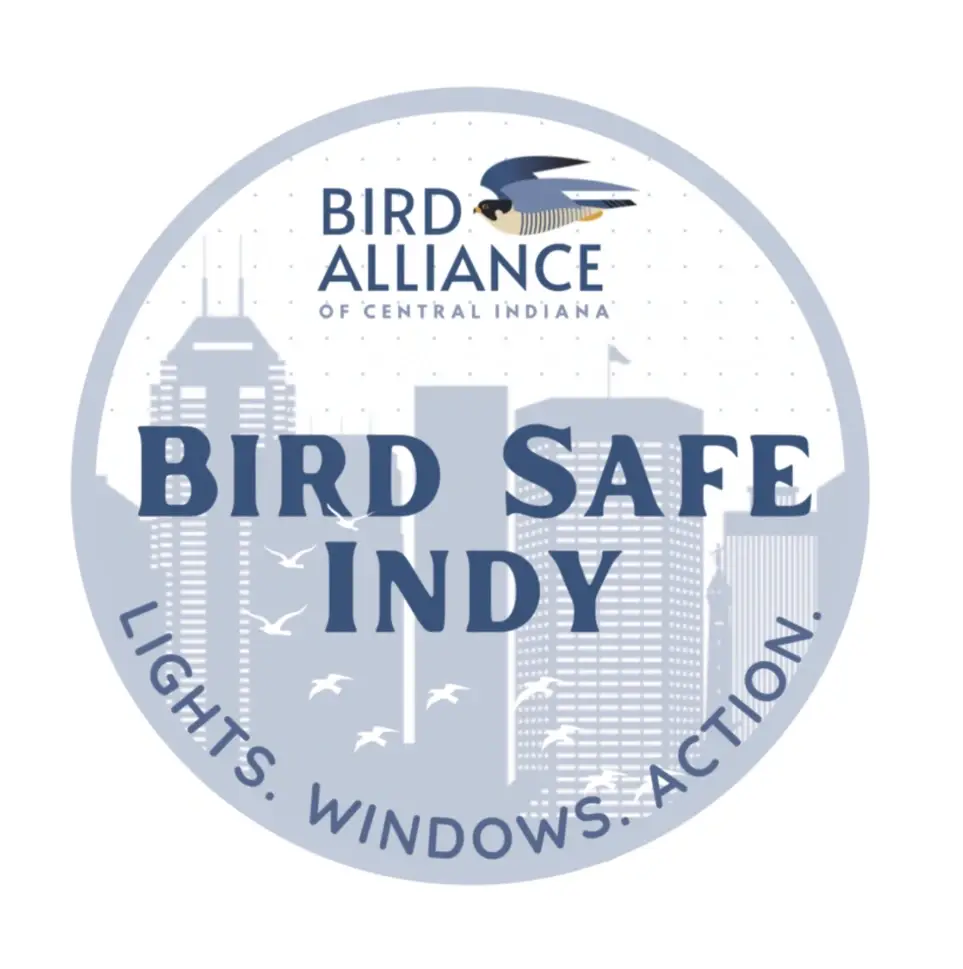 Bird Safe Indy Educator