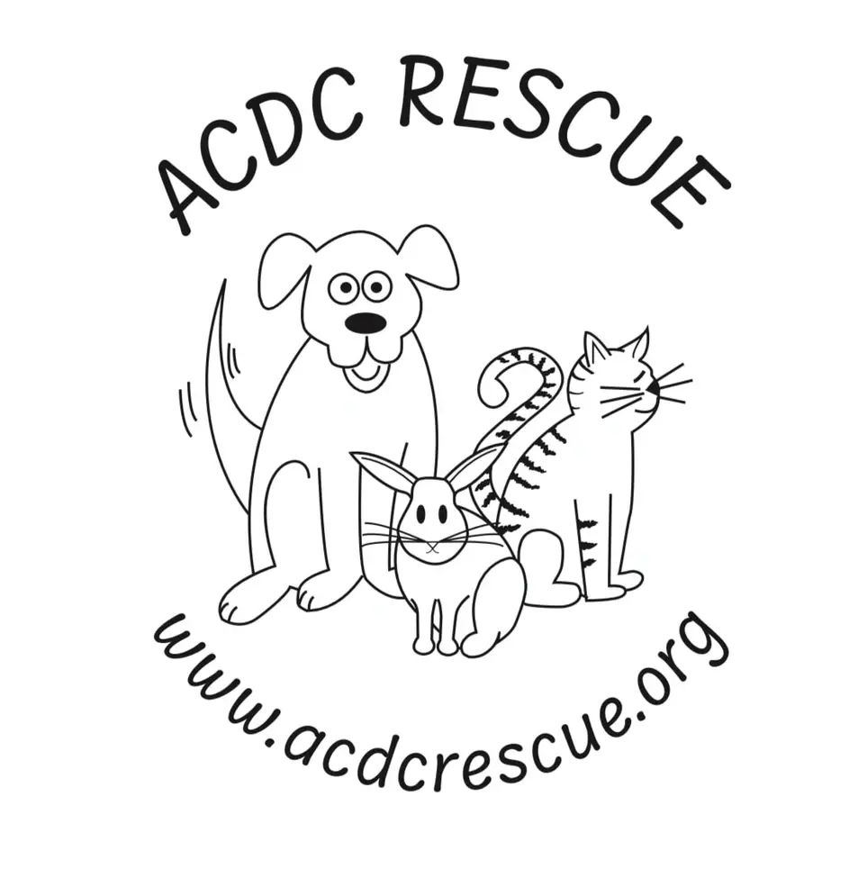 Fundraising Volunteers Needed-Help Homeless Animals!