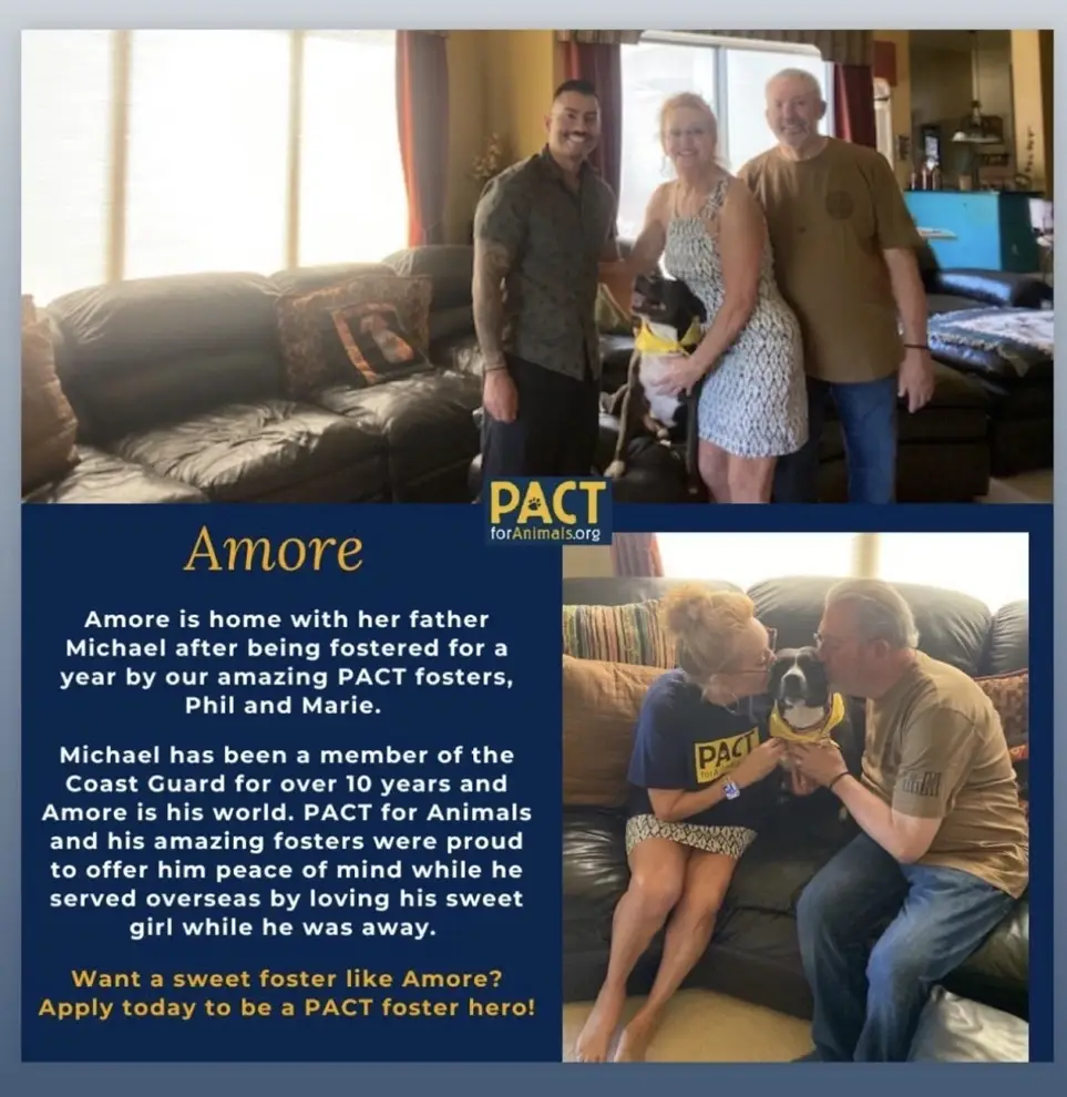 Foster a pet for a deployed service member