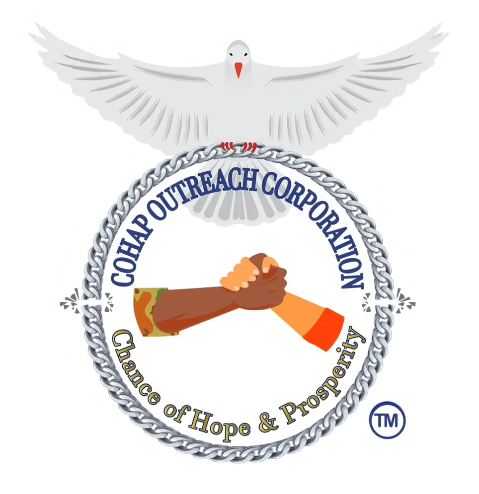 Volunteer Opportunity: Accountant (Nonprofit Tax Preparation & Filing)