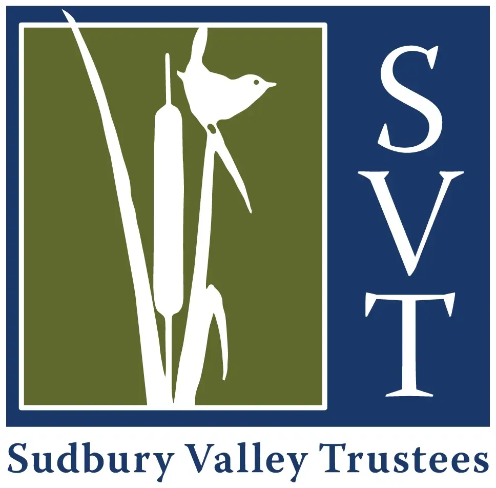 Assistant Clerk